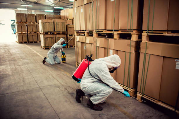 Best Pest Prevention Services  in Plantsville, CT