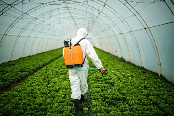 Best Pest Prevention Services  in Plantsville, CT