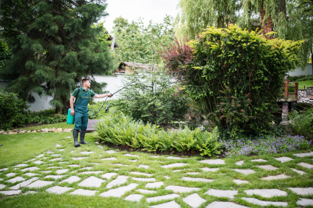Insect Control in Plantsville, CT