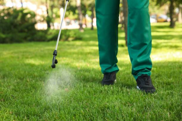Best Rat Extermination Near Me  in Plantsville, CT