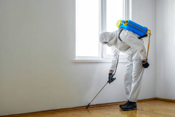 Best Pest Removal Services  in Plantsville, CT