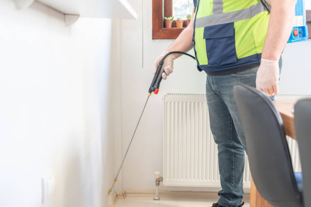 Best Bed Bug Extermination  in Plantsville, CT