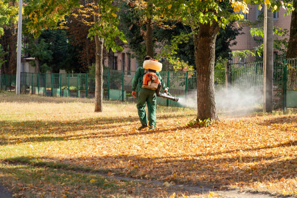 Best Emergency Pest Control  in Plantsville, CT