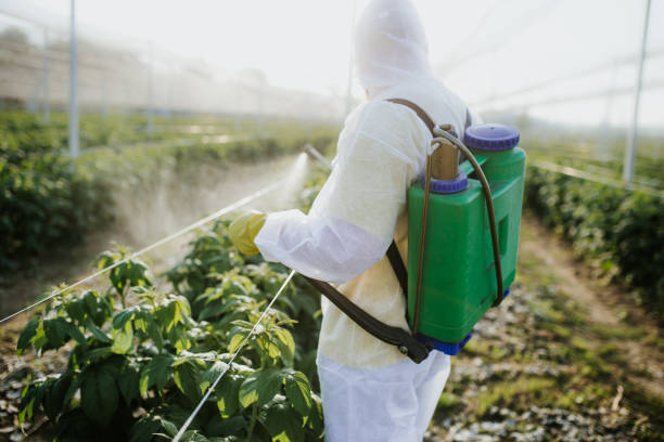 Professional Pest Control in Plantsville, CT